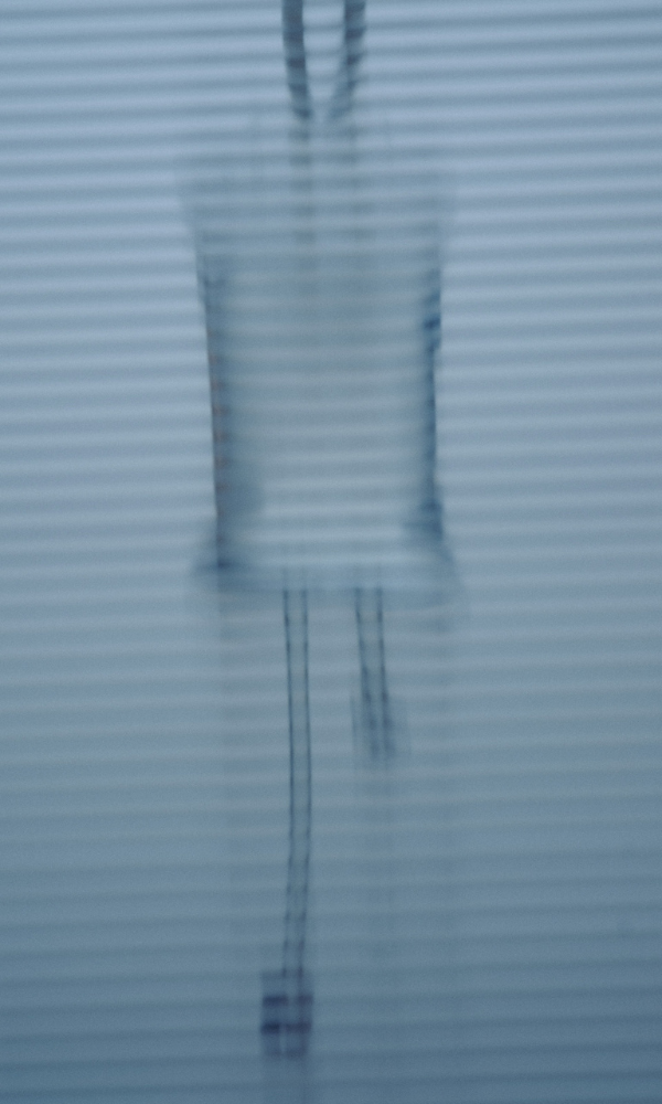 Untitled design - 2024-08-20T192315.909